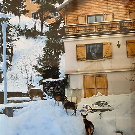 Chalet Familial Auron Dış mekan fotoğraf