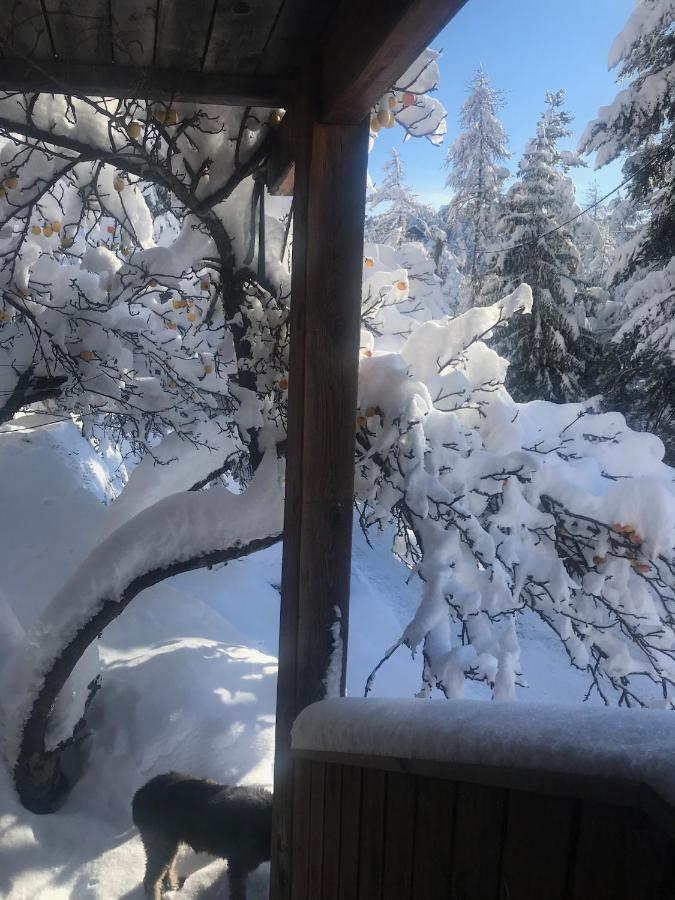 Chalet Familial Auron Dış mekan fotoğraf