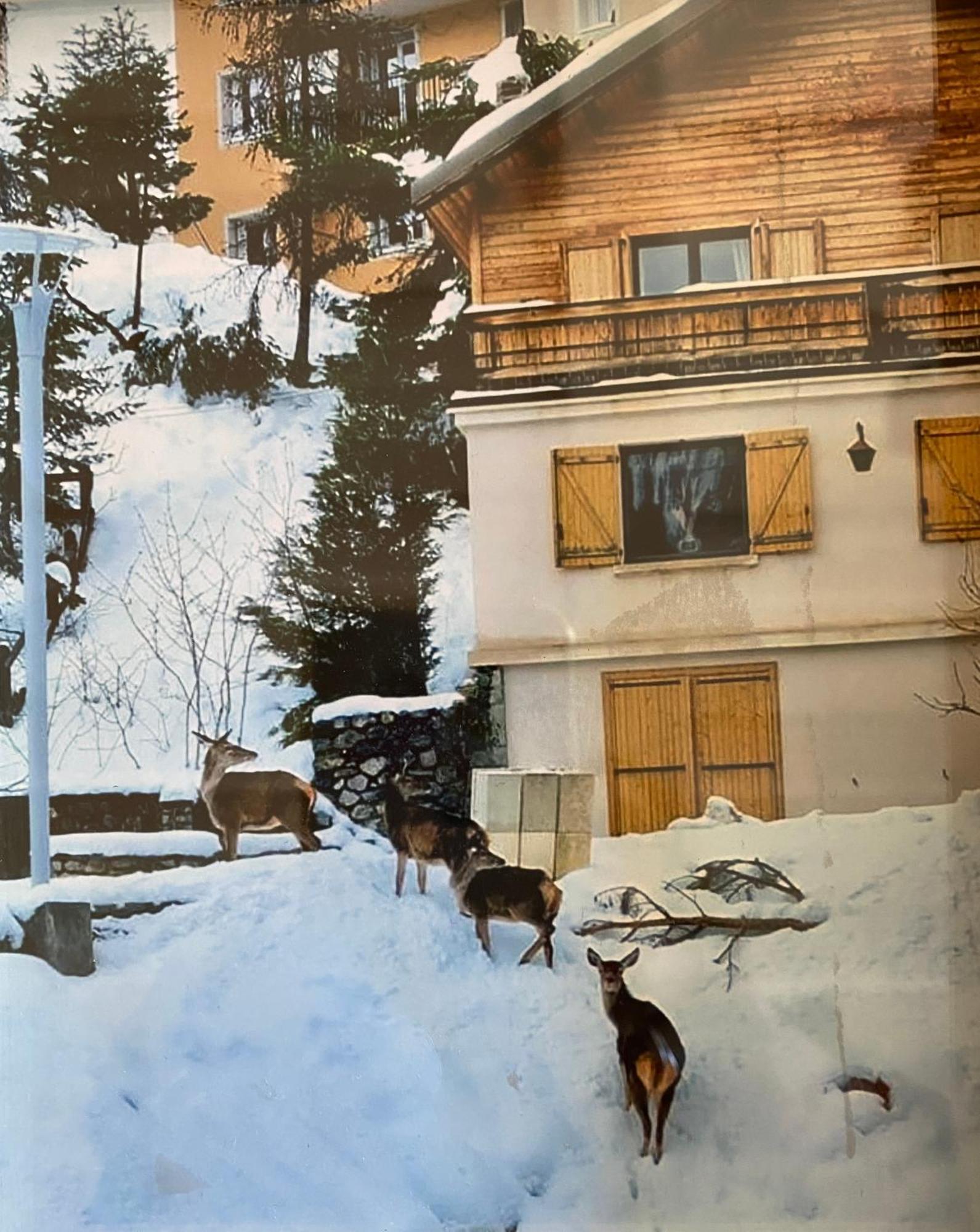 Chalet Familial Auron Dış mekan fotoğraf
